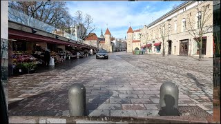 Old Tallinn Walking Tour  Apr 15 2024 [upl. by Mulderig560]