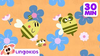 BEES DINOSAURS AND MORE FUN CARTOONS 🐝🦖 Science for Kids  Lingokids [upl. by Nairb73]