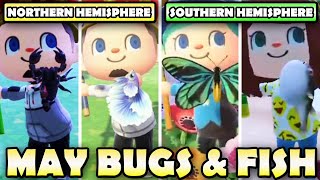 🐛🐟 ULTIMATE Bugs amp Fish Guide For MAY In Animal Crossing New Horizons  North amp South Hemisphere [upl. by Ettenahs361]