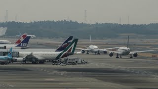 Tokyo Narita Airport LIVE Fedex MD11 Thai A380 ANA Whale European Heavy Arrivals [upl. by Eelaras]