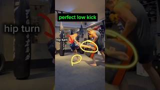 leg kick tutorial mma muaythai lowkick [upl. by Nyahs]