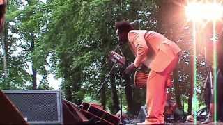 Adama Yalomba  5  LIVE at Afrikafestival Hertme 2007 [upl. by Katy]