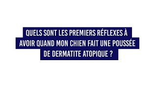 Quels sont les premiers réflexes à avoir quand mon chien fait une poussée de dermatite atopique [upl. by Oinotnas982]