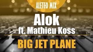 Alok amp Mathieu Koss  Big Jet Plane REMIX Aleteo Zapateo Guaracha Tribal Circuit [upl. by Atiuqa]