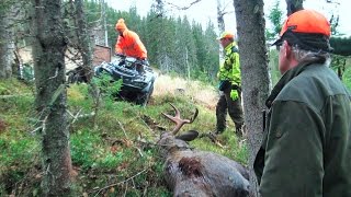 Reportage Elchjagd in Schweden [upl. by Jadda]