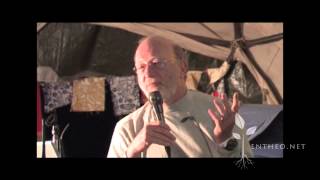 Dennis McKenna Neuroscience of Spirituality [upl. by Atalaya]