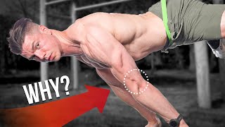 Calisthenics Vs Weight Lifting Explained [upl. by Warfourd]