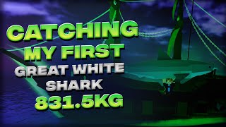 FISCH CATCHING MY FIRST GREAT WHITE SHARK  Roblox [upl. by Koslo302]