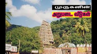 முருகனின் அறுபடை வீடுகள்arupadai veedu muruganarupadai veedu murugan templemurugan songs [upl. by Aleka]