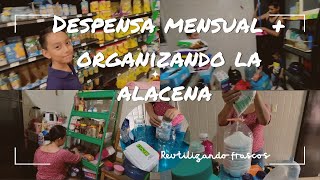 Despensa mensual para 5 acomodando la Alacena despensamensual [upl. by Beret]