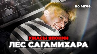 Ужасы Японии Инцидент в Сагамихаре [upl. by Hazlett]