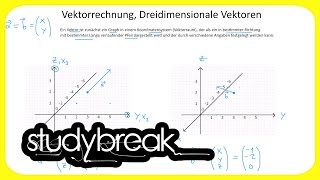 Vektorrechnung Dreidimensionale Vektoren  Wirtschaftsmathematik [upl. by Edrahs660]