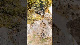 SEE  My travel to lind  part 4 nature oldforest jungle mountains travel birds hiking iran [upl. by Kartis]