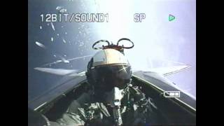 F14 Tomcat Demo in Ft Lauderdale FL [upl. by Rashida]