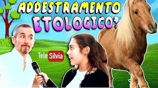 COMUNICARE CON IL CAVALLO  ADDESTRAMENTO ETOLOGICO  Silvia presenta l’Equitazione puntata 23 [upl. by Harsho]