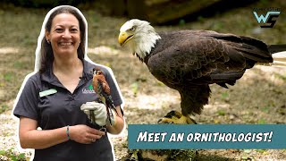 Ornithologist Bird Scientist  WunderSTEM Ep 102  Career Exploration [upl. by Asilanom]