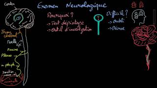 Examen neurologique  Introduction  Docteur Synapse [upl. by Setarcos]