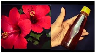 How to make hibiscus oil for hair growth  Hibiscus oil DIY  Homemade Hibiscus hair oil 🌺 [upl. by Grote791]