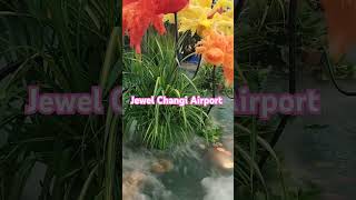 At Jewel Changi Airport singapore jewel amazing blossom [upl. by Oberheim]