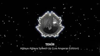 Tekir  Ağlaya Ağlaya SpeedUp Los Angaras Edition [upl. by Ainiger]