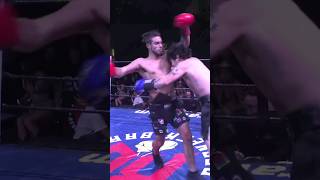 BAMA BULL vs KY BULLDOG wild fight  Redneck Brawl 4 boxing [upl. by Novyaj]