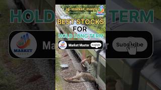 Best Stocks For Holding Long Term  Long Term Investment stocks list [upl. by Wachtel]