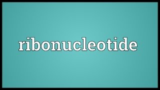 Ribonucleotide Meaning [upl. by Camilo]