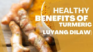 Healthy Benefits of Turmeric Luyang Dilaw healthiswealth eathealthy [upl. by Roshelle]