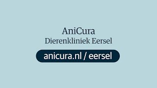 Dierenkliniek Eersel  AniCura [upl. by Ylrebma645]