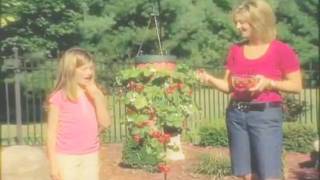 Topsy Turvy Strawberry Planter  As Seen on TV Network [upl. by Yespmed]