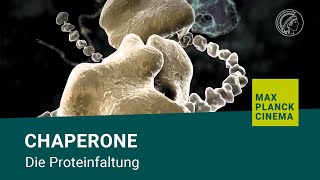 Chaperone  die Proteinfaltung [upl. by Labanna]