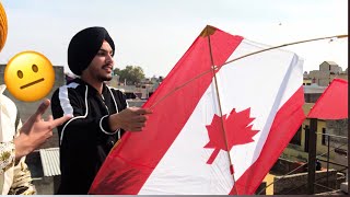 Kites Flying on Basant 2  BIR RAMGARHIA [upl. by Aicel]