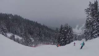 Ski Downhill Fail [upl. by Ahsircal]