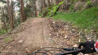 Mt Buller MTB Delatite river trail 2 of 6 [upl. by Anad]