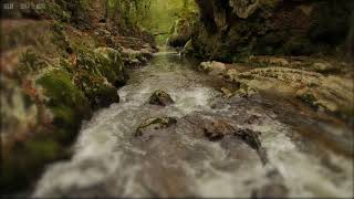 Relaxing Rain amp Soothing River Sounds Near a Beautiful Waterfall in the Rocky Mountains  10 Hours [upl. by Zashin]