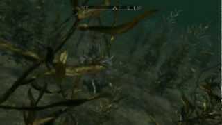 Skyrim Schreibfeder der Wiederholung Honrichsee Fundort AnleitungTutorialGuide [upl. by Otila]