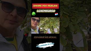 Árvore dos desejos de Luxemburgo 🇱🇺🌳❤️ luxembourg fyp shorts [upl. by Zorina187]