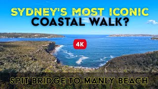 Spit to Manly Walk  Sydneys Ultimate Coastal Trail 4K [upl. by Nanyk504]