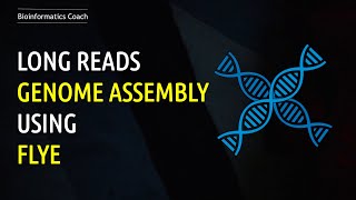 Genome Assembly Workflow Tutorial  LONG READ ONT  Flye [upl. by Rafa]