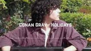 Conan Gray  Holidays Music [upl. by Llenram]