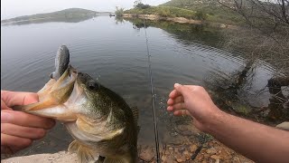 Fishing Lake Poway for Bass [upl. by Guerra]