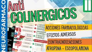 Antimuscarínicos EFECTOS SISTÉMICOS ACCIÓN FARMACOLÓGICA Naturales ATROPINA ESCOPOLAMINA Parte2 [upl. by Sllew]