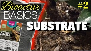 Bioactive Vivarium Substrates  Bioactive Basics 2 [upl. by Fin625]