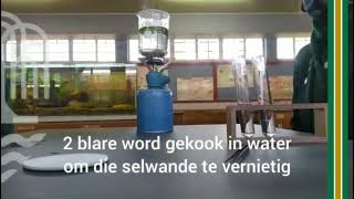 Hoërskool Die Wilgers Graad 11Lewenswetenskappe prakties [upl. by Noiraa]