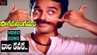 Shankaraabharanam Back 2 Back Comedy Scenes  2017 [upl. by Berg424]