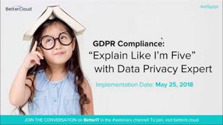 GDPR Compliance “Explain Like I’m Five” with Data Privacy Expert [upl. by Nnhoj]