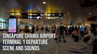 ASMR  Raw Sounds  People  Singapore Changi Airport Terminal 1 Scenes  Departure  Dji Pocket [upl. by Dodi934]