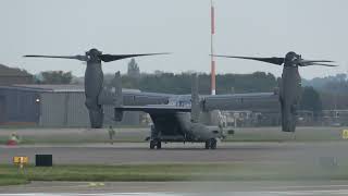 Ospreys in 4K [upl. by Gallagher]