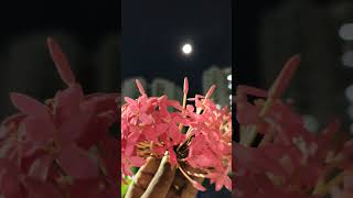 I love moon Subscribe Viji thiags watch my travel vlog 🙏 [upl. by Lecroy]