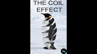 Photoshop Tutorial for Beginners How to create the coil effect in Adobe photoshop [upl. by Coulombe]